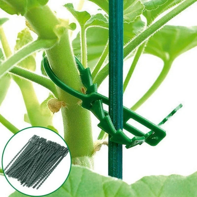 50pcs Adjustable Plastic Plant Cable Ties - Reusable Garden Tree Climbing Support for Plant Vine and Tomato Stem - Plant Cable Clips