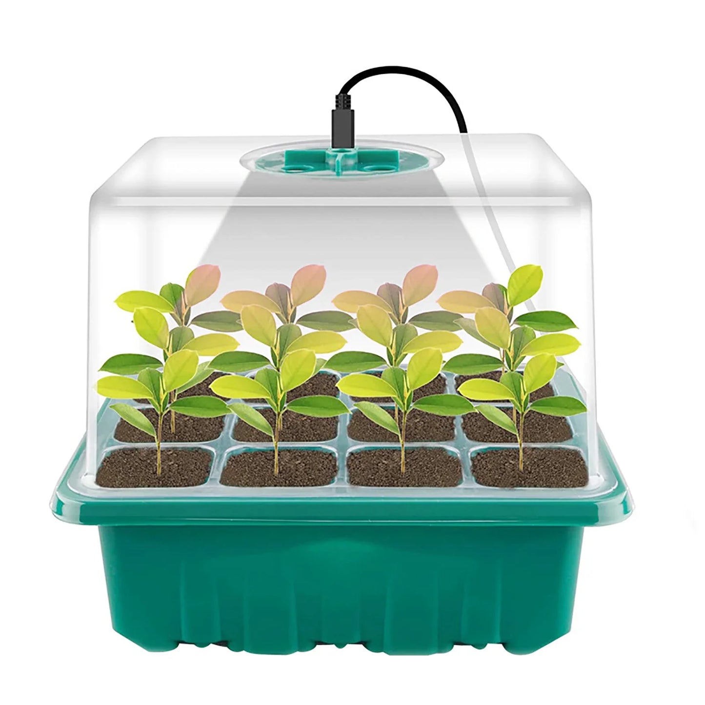 LED Grow Light with 6/12-Hole Seed Starter Trays — Indoor Plant Germination & Seedling Growing Box