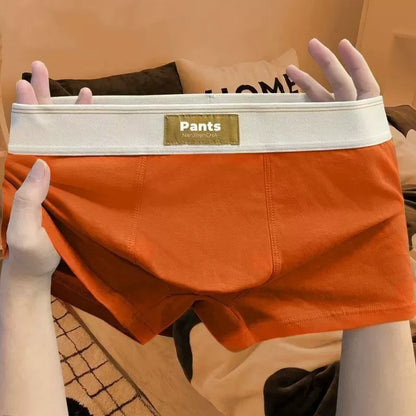 4PCS Men’s Cotton Boxer Shorts Set – Breathable Comfortable Underwear for Sports & Everyday Wear (L–7XL)