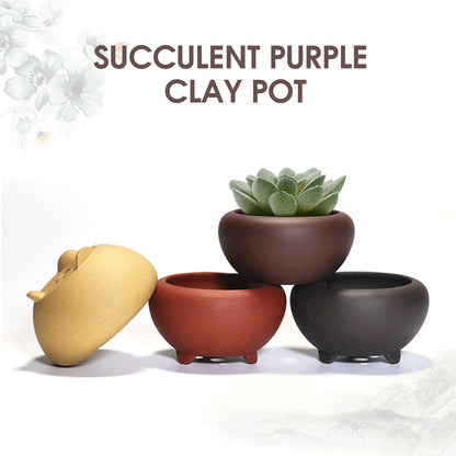 Ceramic Round Plant Pot - Succulent & Orchid Planter with Drainage Holes for Indoor & Outdoor Decor