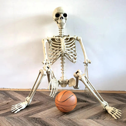 Halloween Life Size Human Skeleton Decoration — Realistic Body Bones with Posable Joints for Haunted House Horror Props