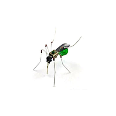 DIY Robotic Insect Kit - STEAM Science Electronic Animal Building Toy