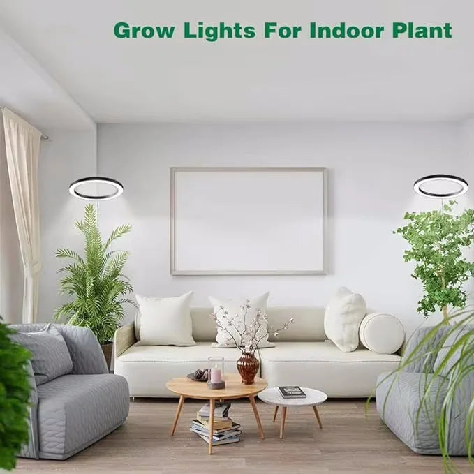 165cm Height Adjustable LED Ring Grow Light – Full Spectrum USB Plant Lamp for Indoor Plants, Large Growing Light