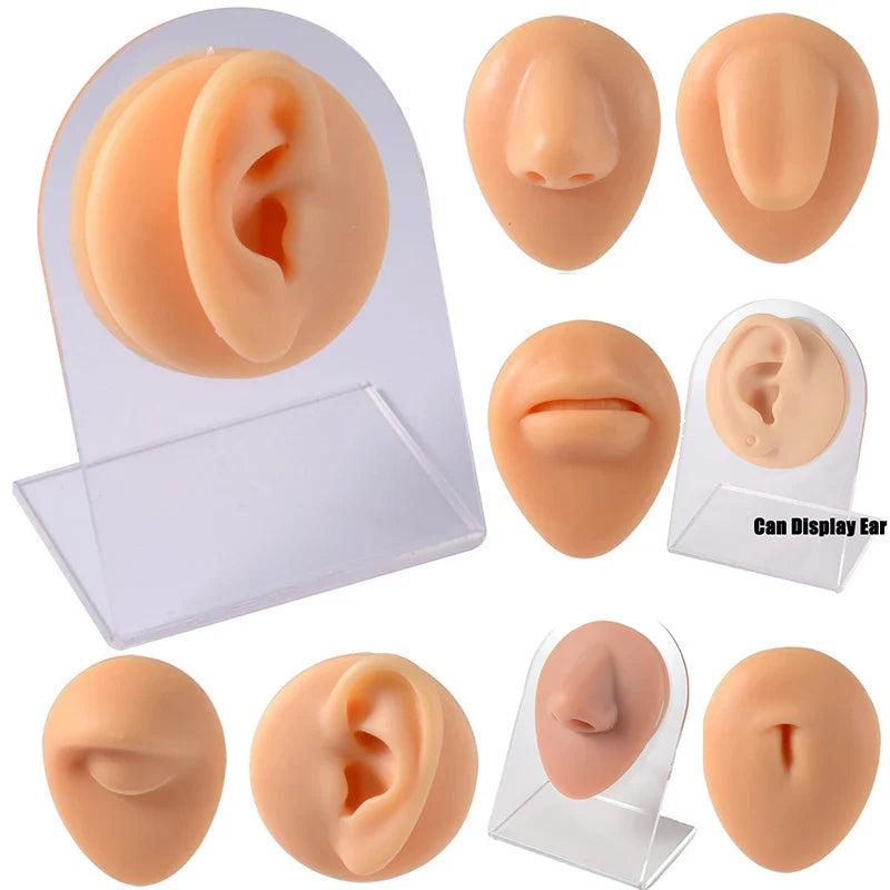 Soft Silicone 1:1 Simulation Body Piercing Practice Model – Ear, Nose, Navel & Nipple Display Stand for Jewelry Training & Teaching Accessories