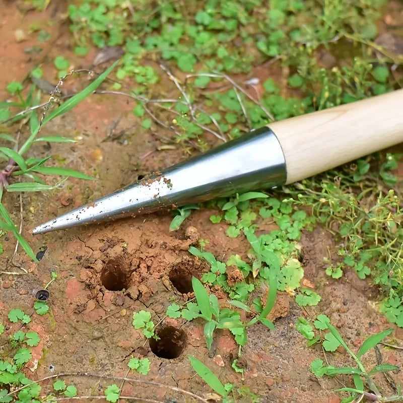 Stainless Steel Hand Dibber with Wooden Handle - Ideal for Sowing Seeds, Transplanting Plants, and Planting Bulbs