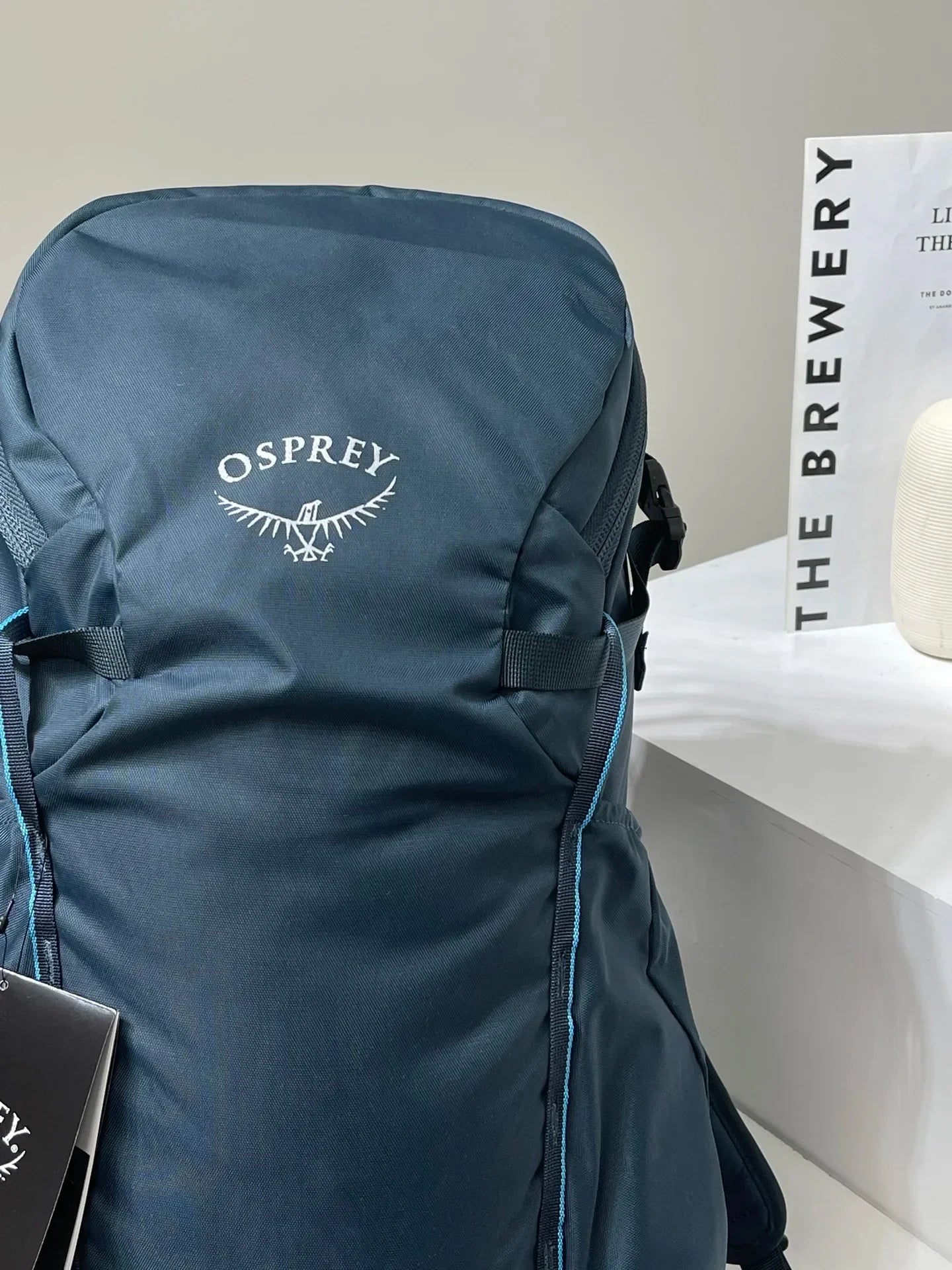 Osprey Professional Outdoor Backpack - Beetle Kitty 22L & 30L Hiking & Camping Bag for Men & Women, Waterproof
