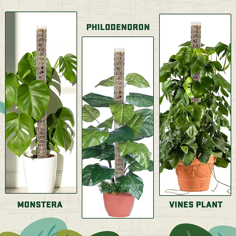 Plants Climbing Stick - Sphagnum Plant Support Trellis Frame - Water Moss Column Pole for Potted Flower Vines Climbing