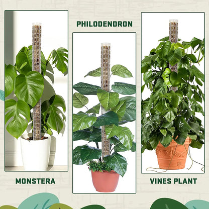 Plants Climbing Stick - Sphagnum Plant Support Trellis Frame - Water Moss Column Pole for Potted Flower Vines Climbing