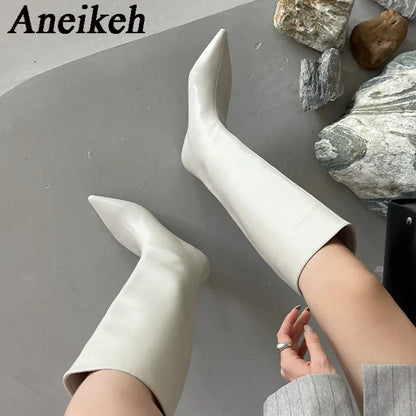 Aneikeh 2025 Fashion Sexy Pointed Low Heel Knee-High Boots – Women's Spring/Autumn PU Western Party Boots (Size 35-40)