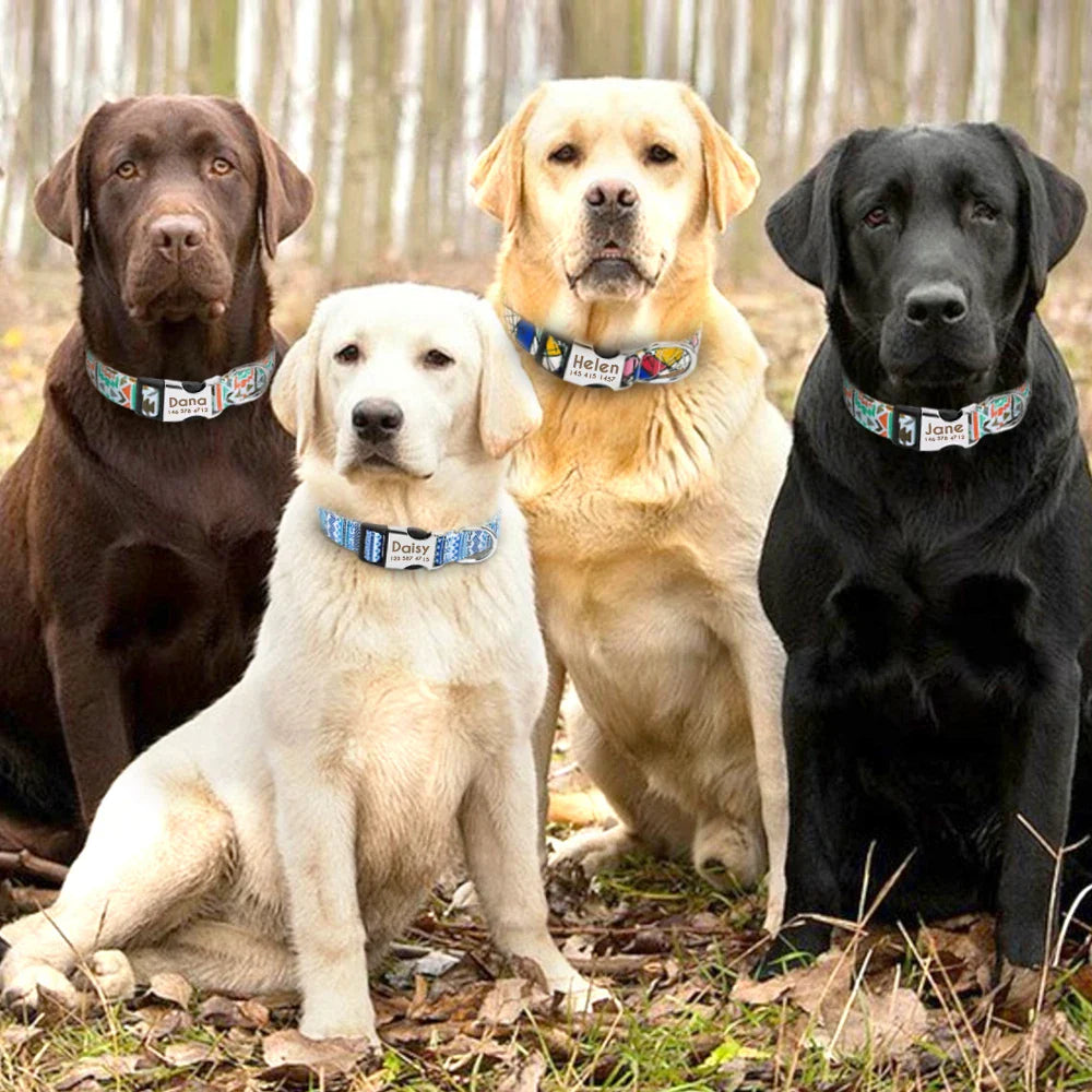 Adjustable Nylon Dog & Cat Collar – Personalized ID Collar with Engraved Name Buckle, Anti-Lost for Small, Medium & Large Pets