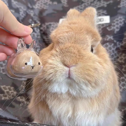 Cute Rabbit-Shaped Transparent Fur Storage Box — Hair & Pet Fur Keychain Capsule