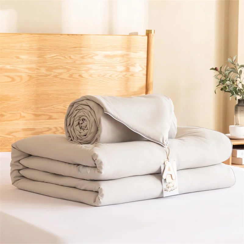 Natural Mulberry Silk Comforter - Four Seasons Bedding Quilt, Summer/Winter, Thin/Thick, Single/Double Hotel Blanket Duvet