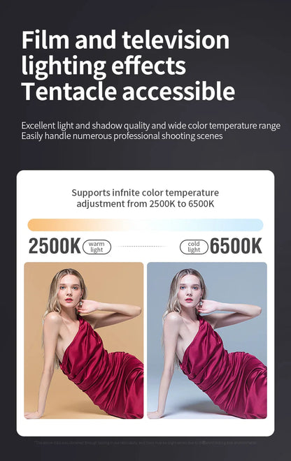 80W Dual Color Temperature COB Photography Light - Professional LED Video Light, Portable Handheld Fill Light with Mini Bowens