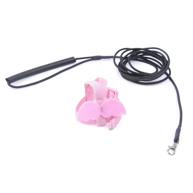 Adjustable Parrot Bird Harness Leash Set: Anti-Bite Training Gear for Outdoor Flying - Cockatiel and Small Birds Supplies
