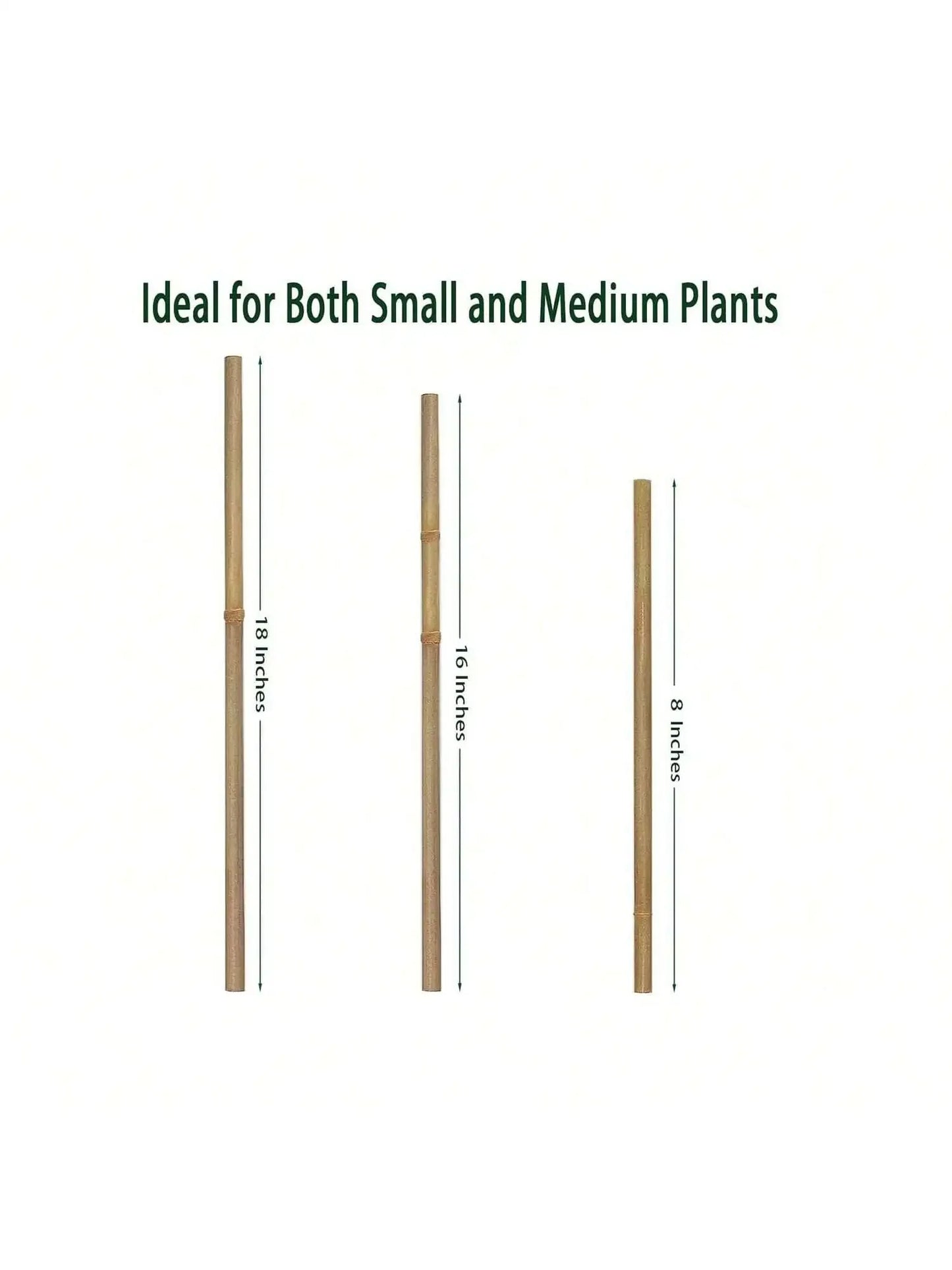 20pcs Eco-Friendly Bamboo Garden Stakes – Wooden Plant Supports for Climbing Plants and Gardening