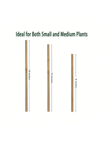 20pcs Eco-Friendly Bamboo Garden Stakes – Wooden Plant Supports for Climbing Plants and Gardening