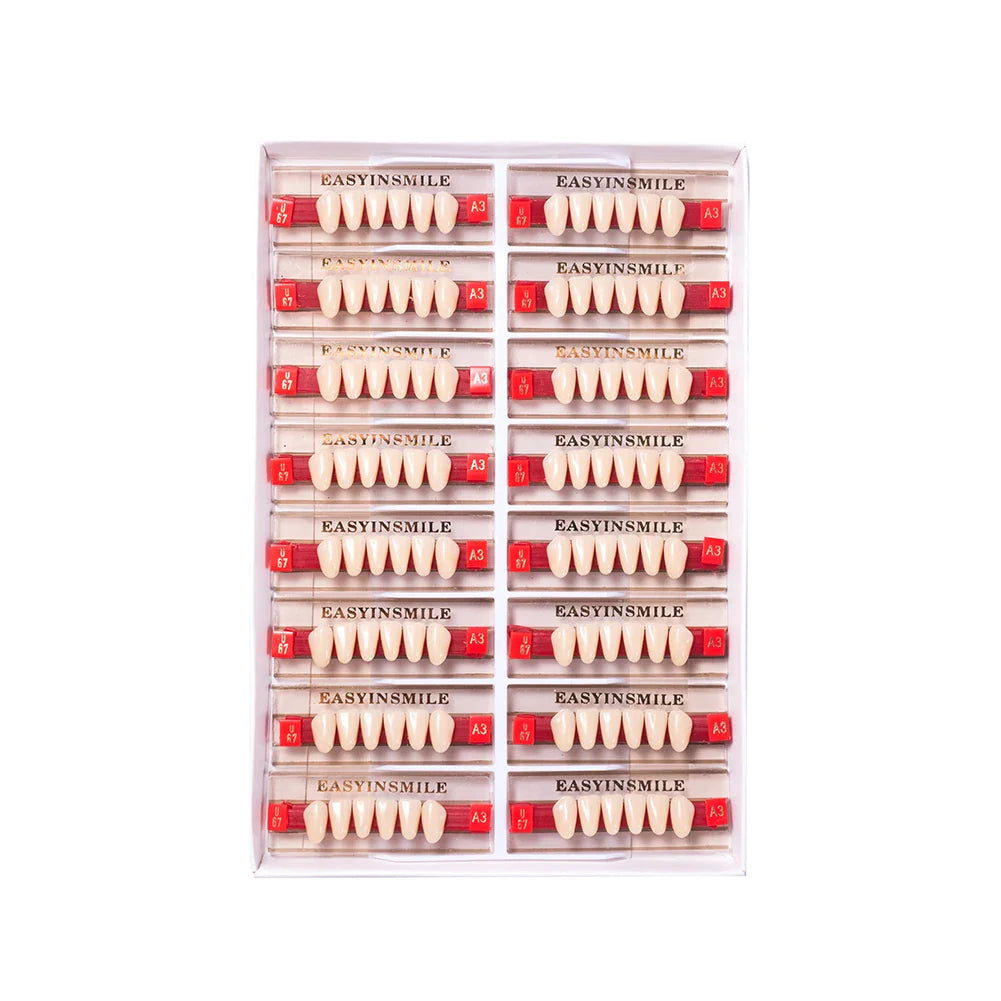 16/12 Set Dental Denture Teeth Model Kit, Upper & Lower Anterior Synthetic Polymer Teeth A2 A3 for Dental Education & Training