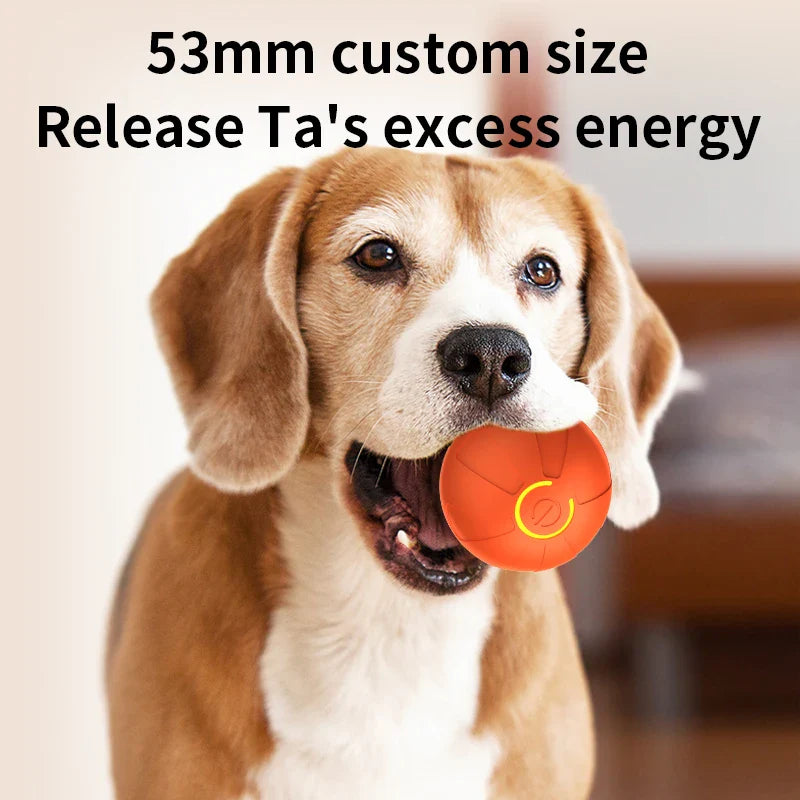 Smart Interactive Dog Toy Ball – USB Rechargeable Automatic Rolling & Bouncing Chew Toy for Puppies to Large Dogs