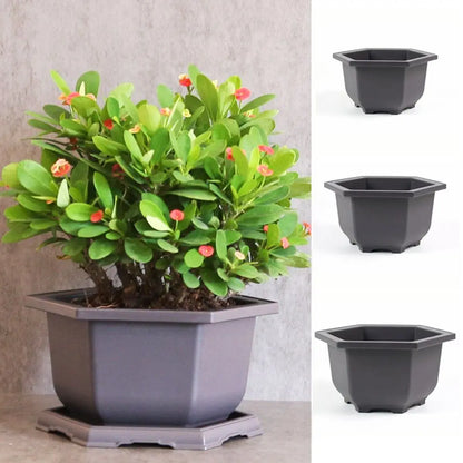 Hexagon Flower Pots – Succulent Box Planter, Plant Container for Home & Office Decor