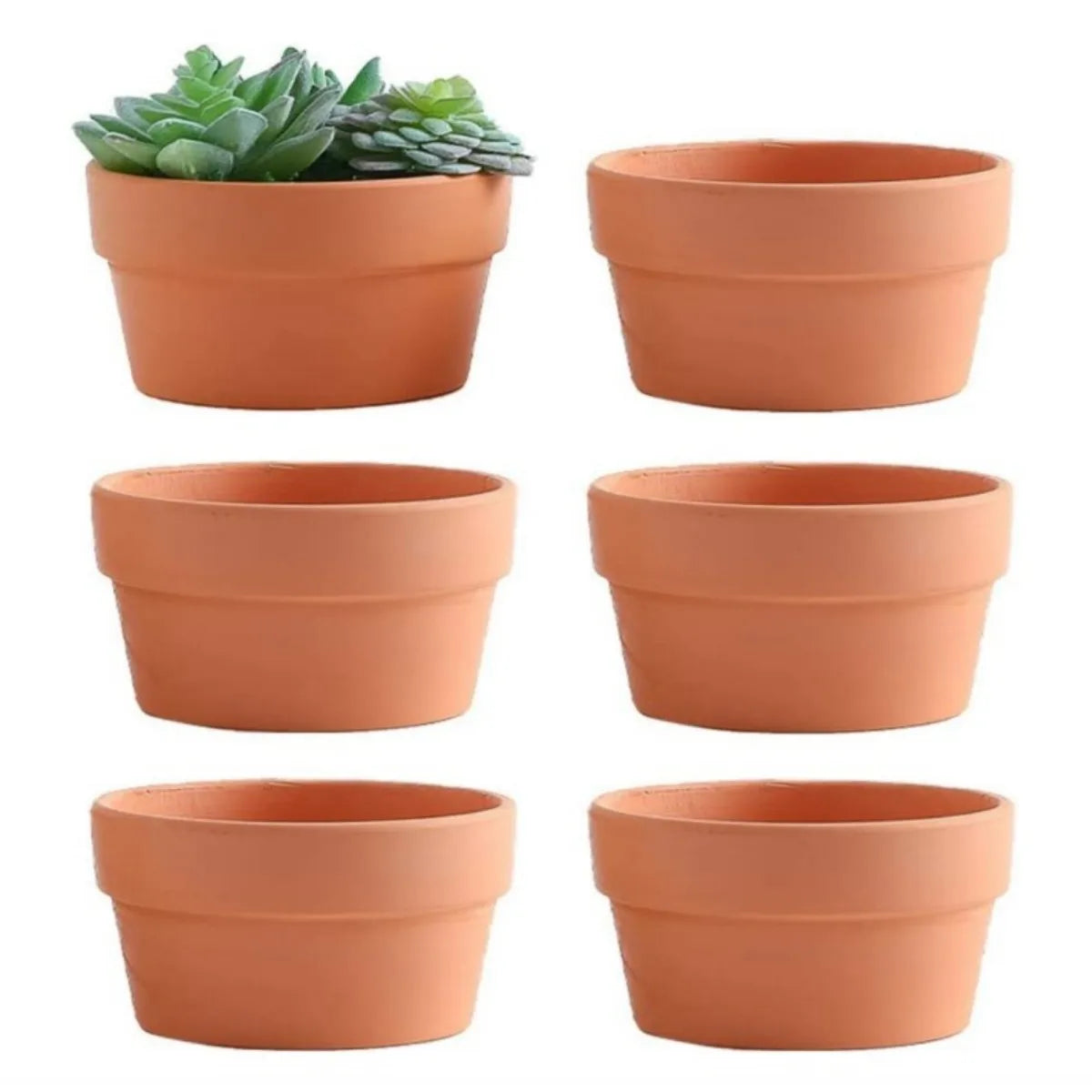 6PCS Terracotta Clay Flower Pots – 3.5” Mini Planters with Drainage Hole for Succulents, Cactus & Nursery Plants
