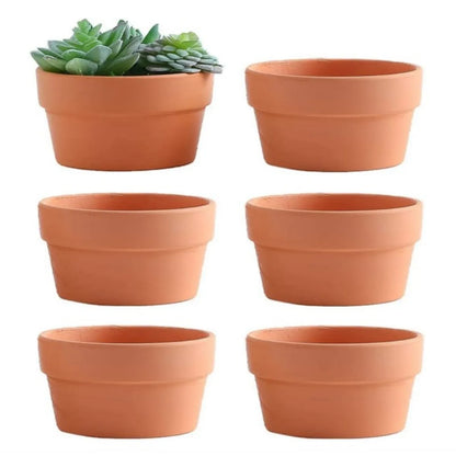 6PCS Terracotta Clay Flower Pots – 3.5” Mini Planters with Drainage Hole for Succulents, Cactus & Nursery Plants