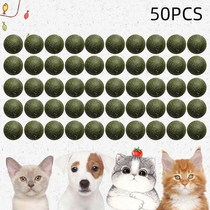 50035614941491
