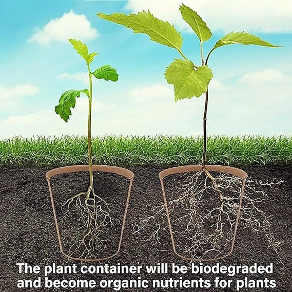 Complete Seed Starter Kit: Biodegradable Peat Pots with Labels and Humidity Domes - Perfect for Seedling Planting