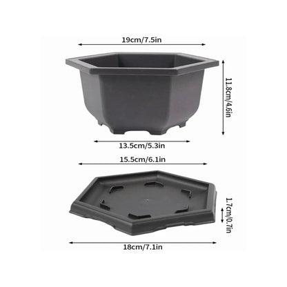 Purple Clay Succulent Plant Pots – Outdoor Garden Bonsai Planters, Rectangular & Square