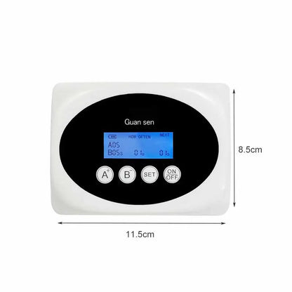 Solar Double Pump Automatic Drip Irrigation System – Smart Watering Timer for Garden & Potted Plants
