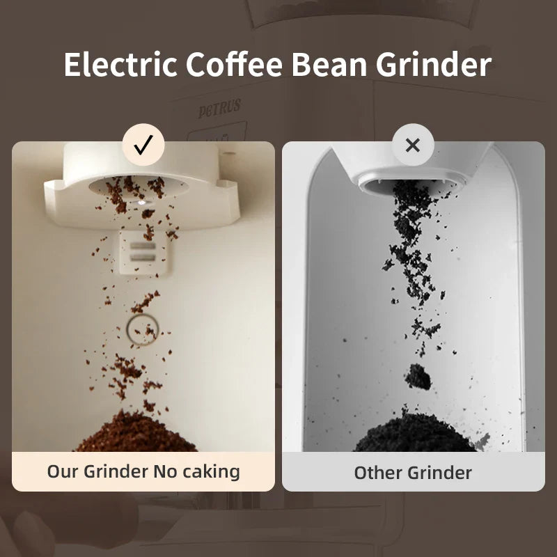 Petrus Electric Coffee Bean Grinder | 51 Precise Settings | Stainless Steel Conical Burr Grinder with Digital Timer Display