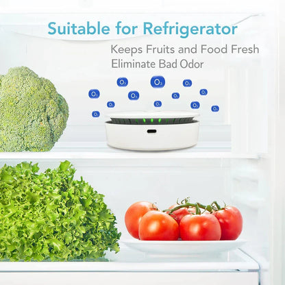 Portable Air Purifier – USB Rechargeable Negative Ion & Ozone Generator, Removes Odors and Pet Smells