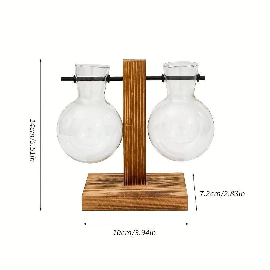 Hydroponic Glass Vase, Vintage Desktop Plant Terrarium Planter, Bulb Water Planting Propagation Vase for Hydroponics Plants