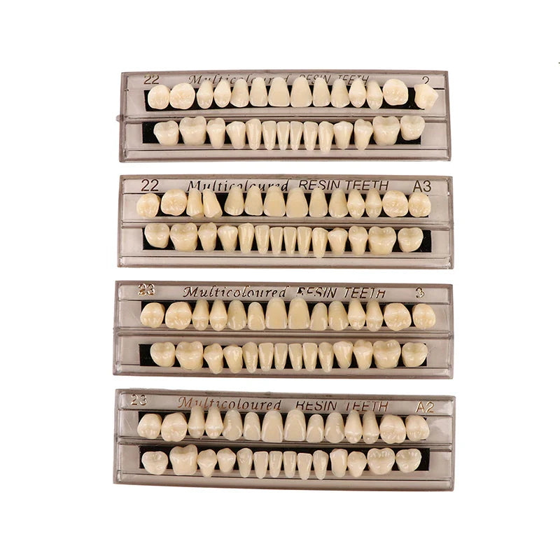 28-Teeth Resin Denture Comparator – Dental Mirror & Bleaching Plate for Dentistry Education & Research