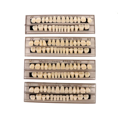 28-Teeth Resin Denture Comparator – Dental Mirror & Bleaching Plate for Dentistry Education & Research