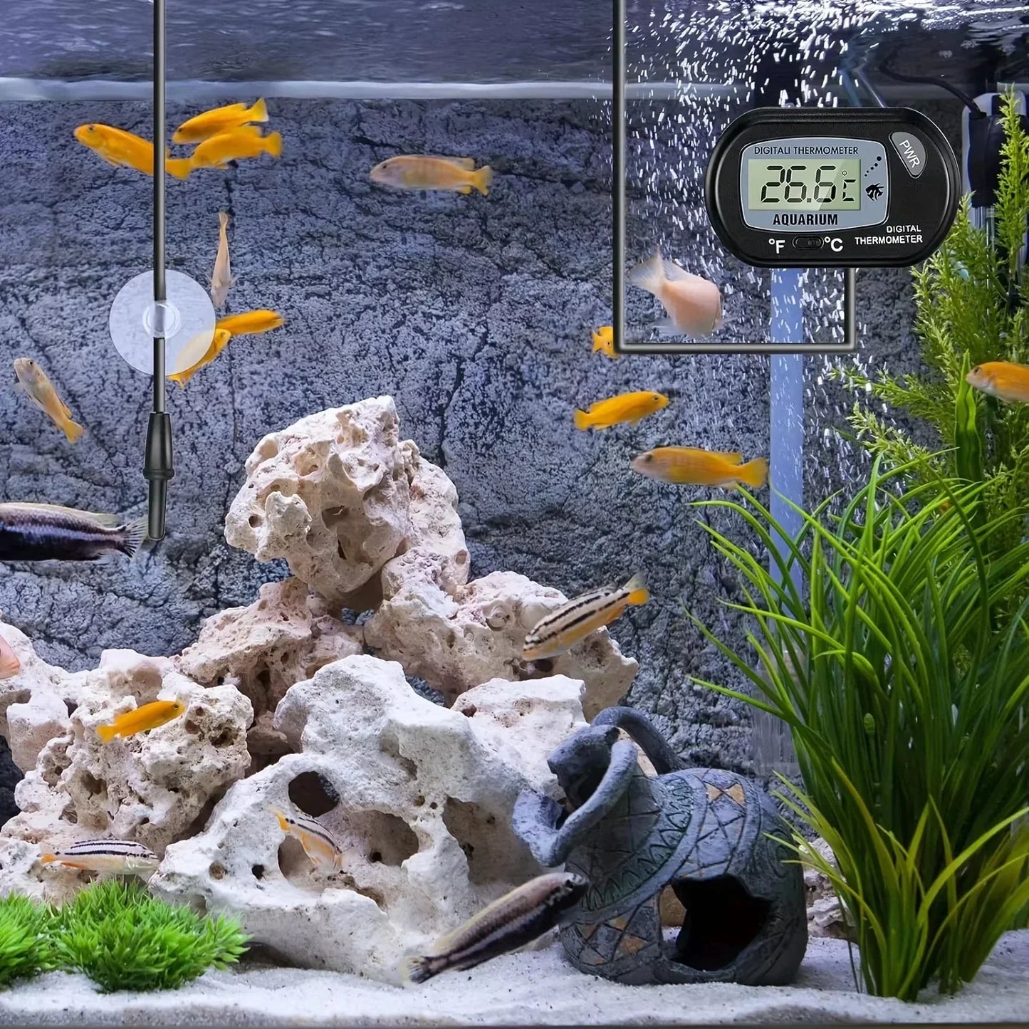 Waterproof Digital Aquarium Thermometer – Suction Cup Temperature Gauge for Fish Tanks & Reptiles