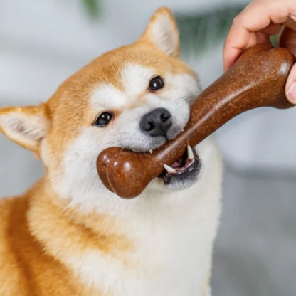 Natural Non-Toxic Indestructible Dog Chew Bone Toy – Anti-Bite Puppy Teething Toy for Small, Medium & Large Dogs Pet Chew Toy