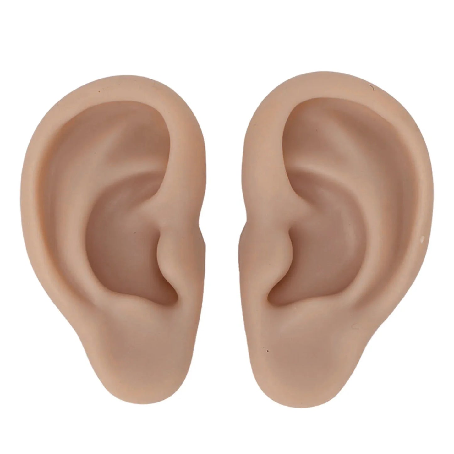 Soft Silicone Ear Model – Flexible Piercing Practice & Earring Display Training Mannequin for Jewelry Showcase & Ear Piercing Practice
