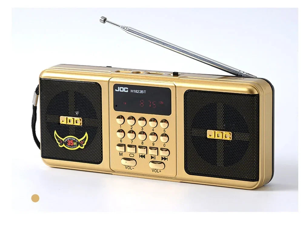 Portable Bluetooth FM Radio Speaker — Wireless Stereo with USB, TF Card & Rechargeable Battery