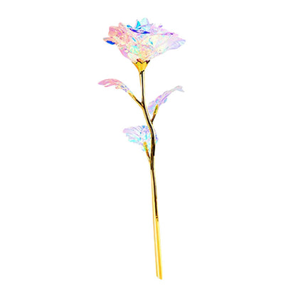 Valentine's Day 24K Foil Plated Rose – Gold Rose Lasts Forever, Creative Wedding & Love Decor, 5-50PCS Gift Set