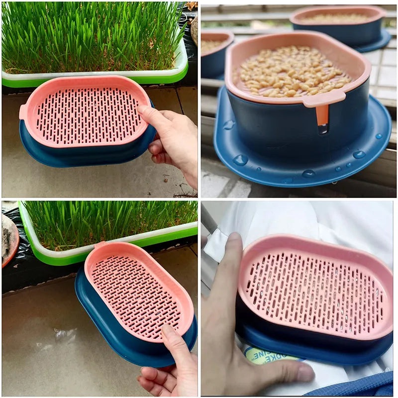 Hydroponic Pet Cat Sprout Dish: Greenhouse Grow Box for Cat Grass Germination - Digestion Starter Pot, Reusable and Eco-Friendly
