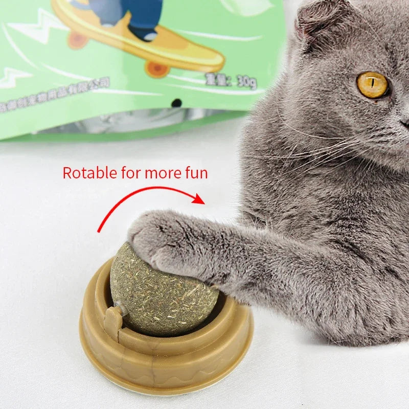 Natural Catnip Scratching Post – Wall Sticker and Ball Toy for Cats, Therapeutic Healthy Pet Products for Scratching and Play