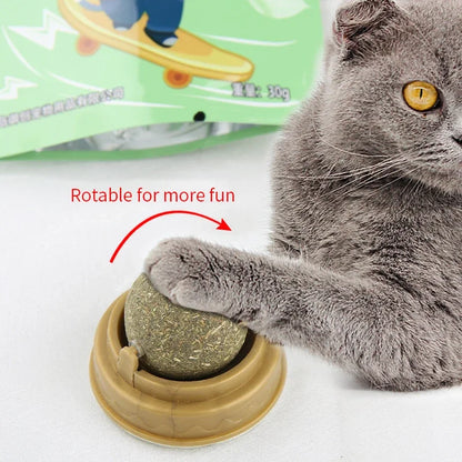 Natural Catnip Scratching Post – Wall Sticker and Ball Toy for Cats, Therapeutic Healthy Pet Products for Scratching and Play