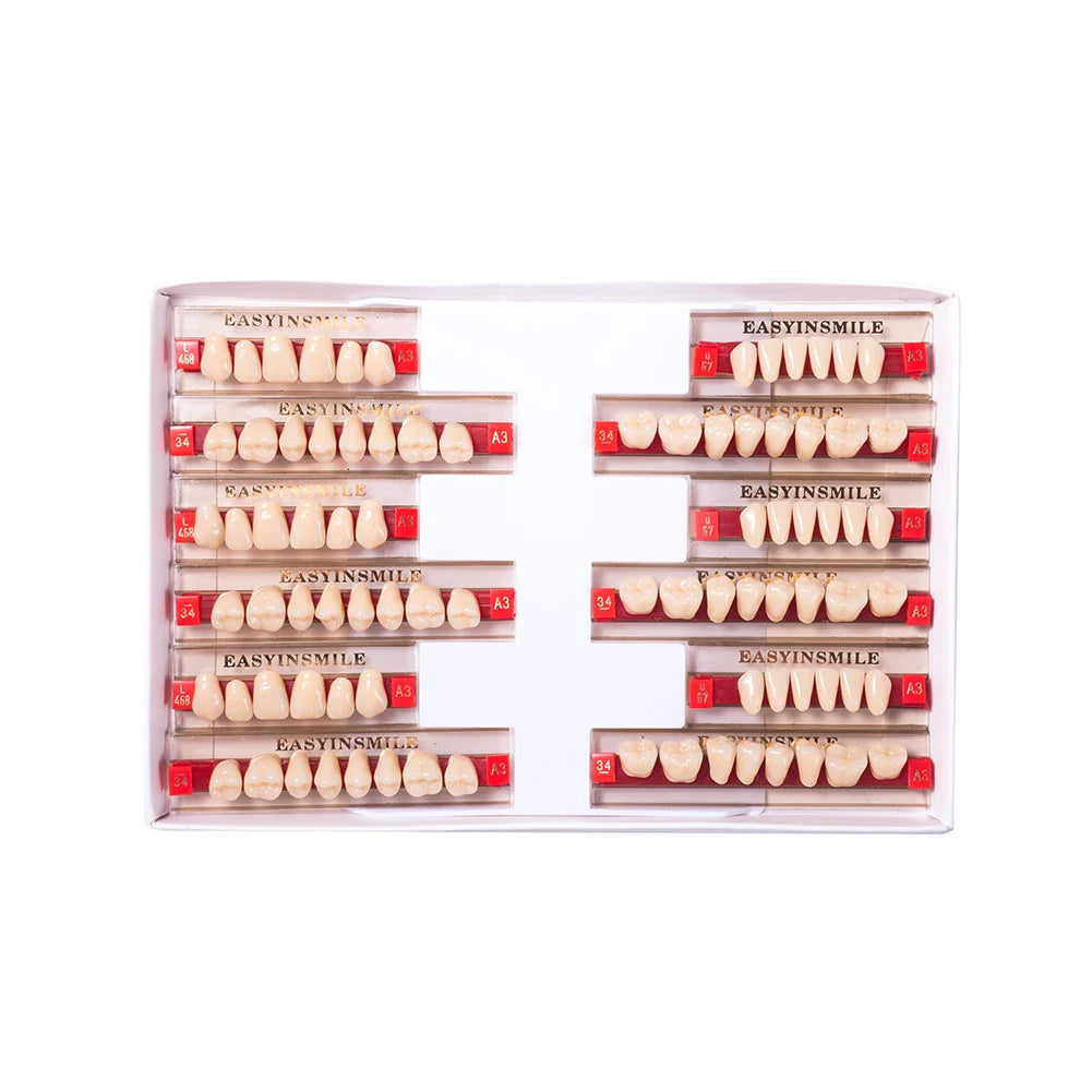 16/12 Set Dental Denture Teeth Model Kit, Upper & Lower Anterior Synthetic Polymer Teeth A2 A3 for Dental Education & Training