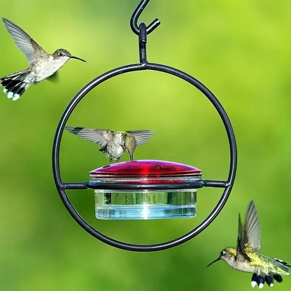 Circular Hanging Hummingbird Feeder – Water Feeder for Birds, Perfect for Gardens and Courtyard Bird Supplies
