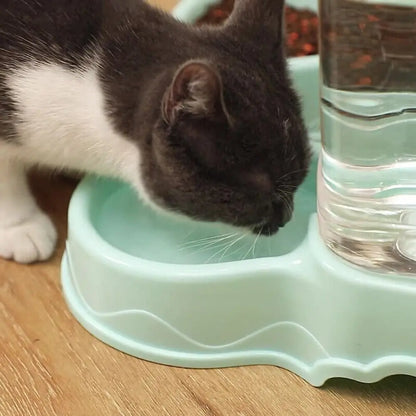 3.8L Automatic Pet Feeder & Water Fountain – Large Cat & Dog Food Dispenser