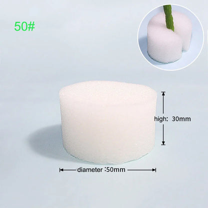 50pcs Hydroponic Mesh Net Baskets — Soilless Plant Nursery Cups for Veggie & Clone Growth
