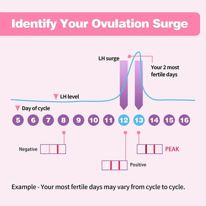 Pelvifine Ovulation & Pregnancy Test Kit – 25 Ovulation Strips & 5 Pregnancy Test Sticks for Accurate Fertility Tracking