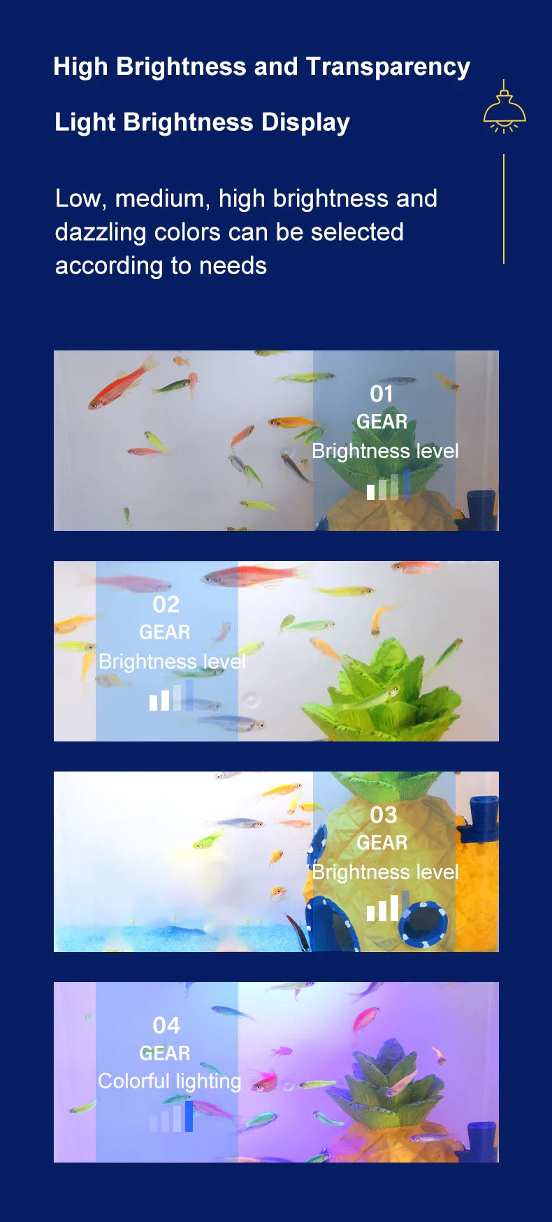 Mini Fish Tank for Living Room - Self-Circulating Eco Tank with Back Filter for Goldfish