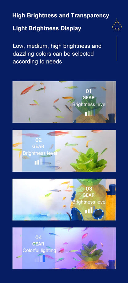 Mini Fish Tank for Living Room - Self-Circulating Eco Tank with Back Filter for Goldfish