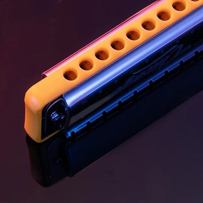 JDR Chicago Blues Harmonica - Professional 10-Hole Diatonic Mouth Organ
